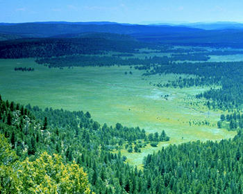 Valle Vidal, New Mexico